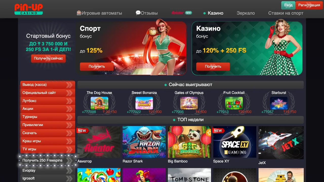 Pin Up official casino website screenshot